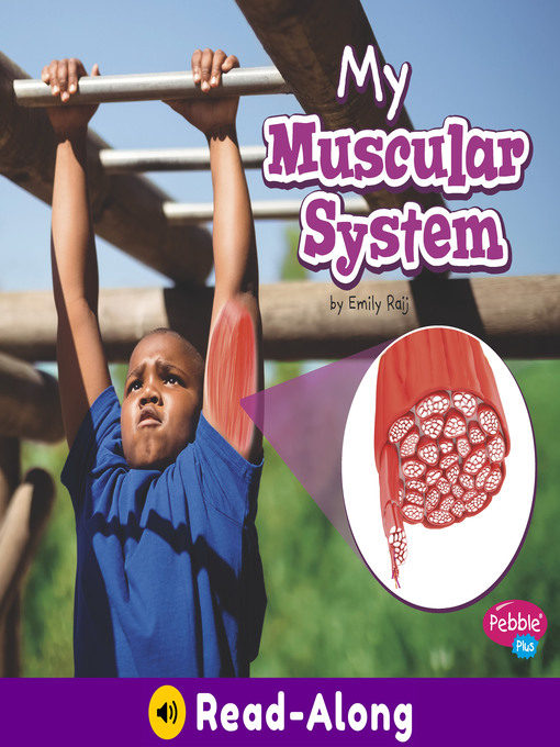 Cover image for My Muscular System